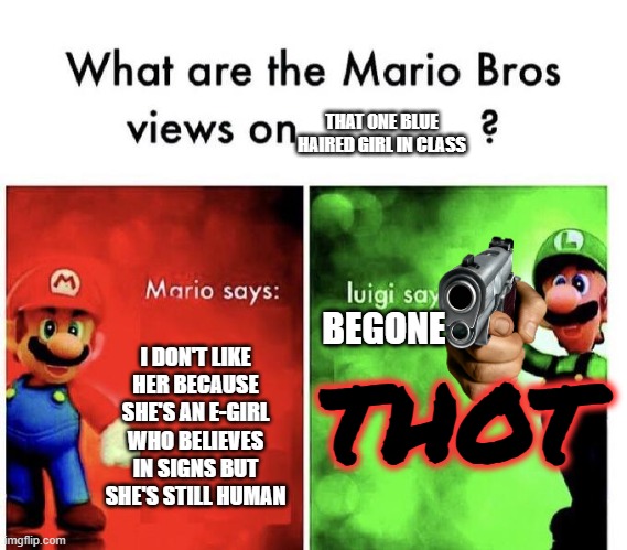 who else with luigi | THAT ONE BLUE HAIRED GIRL IN CLASS; THOT; I DON'T LIKE HER BECAUSE SHE'S AN E-GIRL WHO BELIEVES IN SIGNS BUT SHE'S STILL HUMAN; BEGONE | image tagged in mario bros views,blue haired girl,memes,references,funny,super mario bros | made w/ Imgflip meme maker