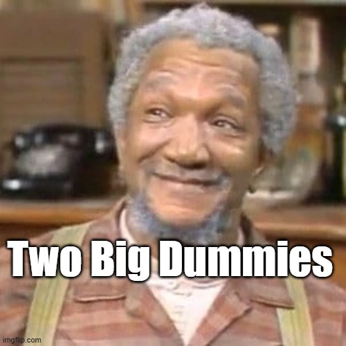 Two Big Dummies | made w/ Imgflip meme maker
