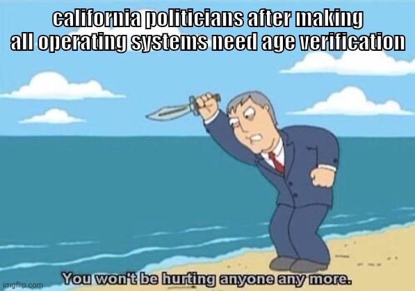 "that should do the trick!" | california politicians after making all operating systems need age verification | made w/ Imgflip meme maker