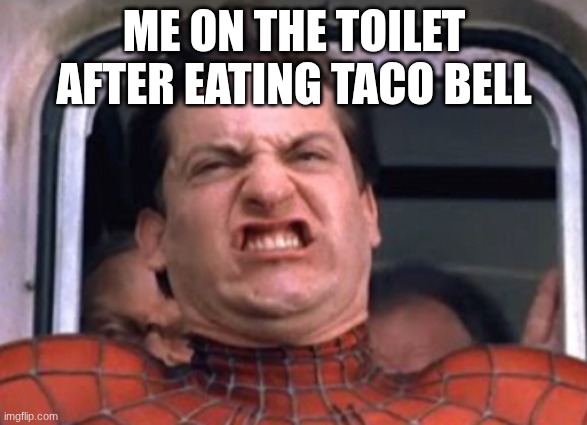 Spider-Man Train Scene | ME ON THE TOILET AFTER EATING TACO BELL | image tagged in spider-man train scene | made w/ Imgflip meme maker