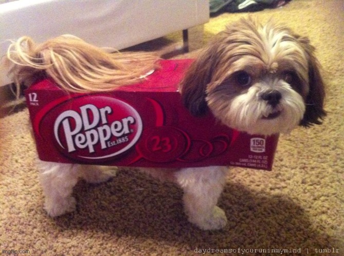 Dr Pupper | image tagged in dr pepper costume | made w/ Imgflip meme maker