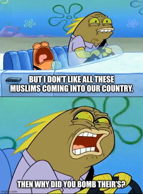 The US is the source of all its own problems. | BUT I DON’T LIKE ALL THESE MUSLIMS COMING INTO OUR COUNTRY. THEN WHY DID YOU BOMB THEIR’S? | image tagged in but i don't like pistachio,immigration,iran,refugees,israel,palestine | made w/ Imgflip meme maker