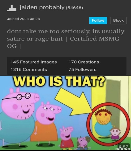 Who is that? | image tagged in who is that | made w/ Imgflip meme maker