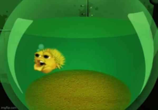 commodore fish | image tagged in commodore fish | made w/ Imgflip meme maker