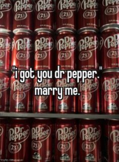 No doubt my soulmate in the future would love Dr pepper just as much as I do | image tagged in dr pepper | made w/ Imgflip meme maker