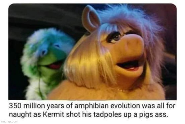 The current state of human sexuality | image tagged in funny,dark humor,memes,dank memes,cursed,funny memes | made w/ Imgflip meme maker