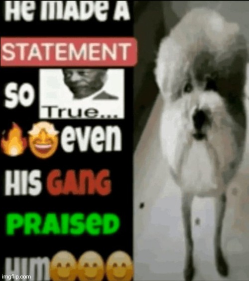 post above maybe | image tagged in he made a statement so true | made w/ Imgflip meme maker