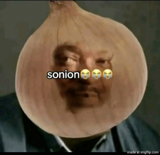sonion | image tagged in sonion | made w/ Imgflip meme maker