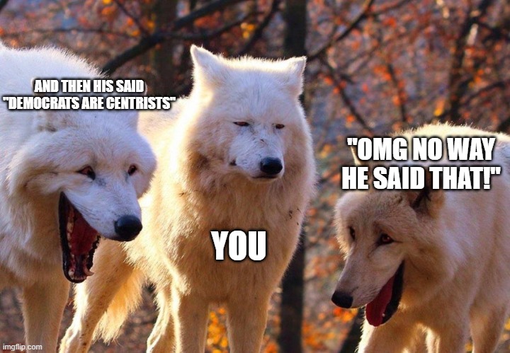 2/3 wolves laugh | AND THEN HIS SAID "DEMOCRATS ARE CENTRISTS" YOU "OMG NO WAY HE SAID THAT!" | image tagged in 2/3 wolves laugh | made w/ Imgflip meme maker