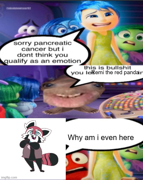 Two memes in a week??? | Remi the red panda; Why am i even here | image tagged in sorry pancreatic cancer but i don t think you qualify as an emot | made w/ Imgflip meme maker