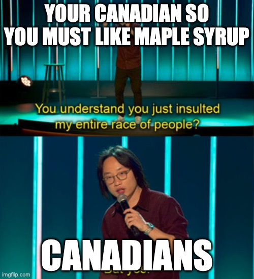 You do understand you just insulted my entire race of people? | YOUR CANADIAN SO YOU MUST LIKE MAPLE SYRUP; CANADIANS | image tagged in you do understand you just insulted my entire race of people | made w/ Imgflip meme maker