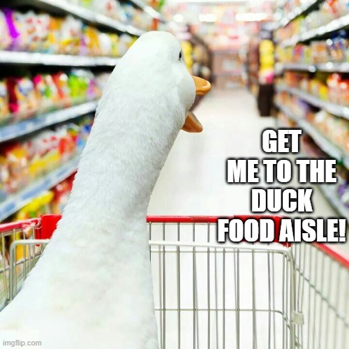 Grocery Ducking | GET ME TO THE DUCK FOOD AISLE! | image tagged in ducks | made w/ Imgflip meme maker