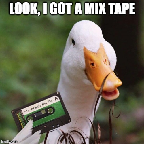 Duck Tape | LOOK, I GOT A MIX TAPE | image tagged in ducks | made w/ Imgflip meme maker