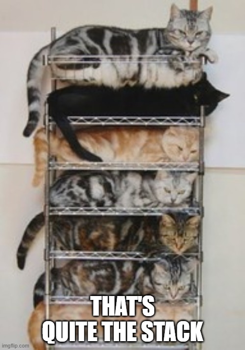 Cat Stack | THAT'S QUITE THE STACK | image tagged in cats | made w/ Imgflip meme maker