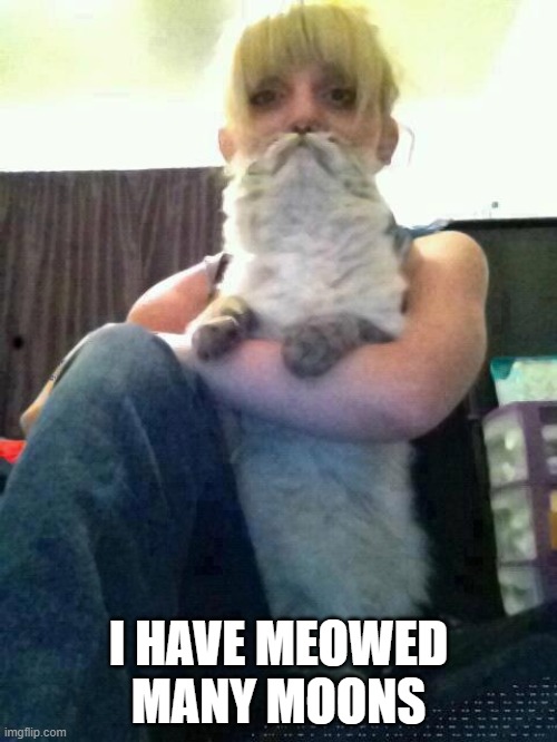 Cat Beard | I HAVE MEOWED MANY MOONS | image tagged in cats | made w/ Imgflip meme maker