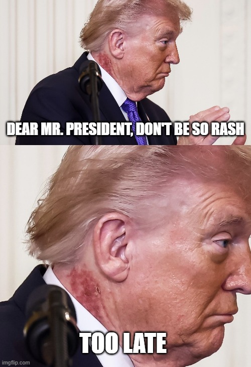 Trump Rash | DEAR MR. PRESIDENT, DON'T BE SO RASH; TOO LATE | image tagged in trump rash | made w/ Imgflip meme maker