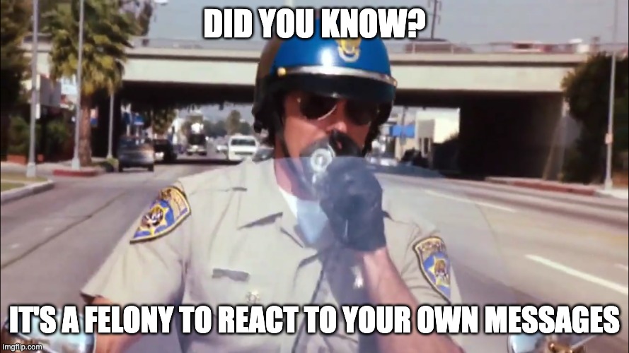 lowk i cant stand when people do it | DID YOU KNOW? IT'S A FELONY TO REACT TO YOUR OWN MESSAGES | image tagged in police | made w/ Imgflip meme maker