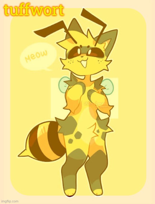 High Quality tuffwort’s beecat template Blank Meme Template