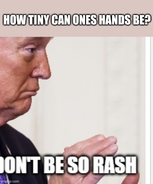 HOW TINY CAN ONES HANDS BE? | made w/ Imgflip meme maker
