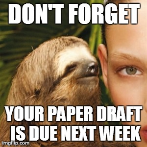 Whisper Sloth Meme | DON'T FORGET YOUR PAPER DRAFT IS DUE NEXT WEEK | image tagged in memes,whisper sloth | made w/ Imgflip meme maker