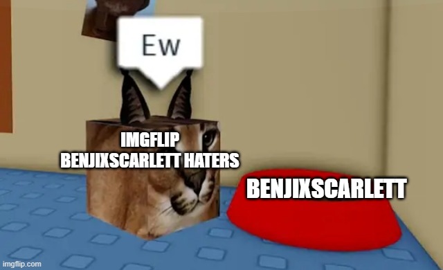 Floppa cube say "Ew" to this red bowl | IMGFLIP BENJIXSCARLETT HATERS; BENJIXSCARLETT | image tagged in floppa cube say ew to this red bowl | made w/ Imgflip meme maker