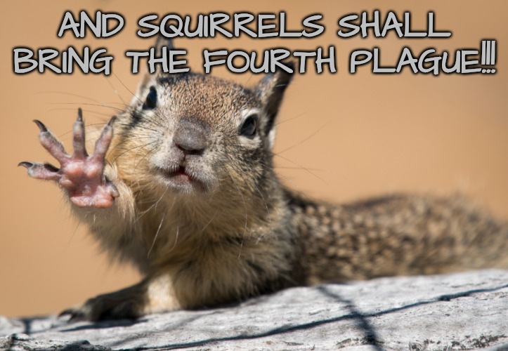 AND SQUIRRELS SHALL BRING THE FOURTH PLAGUE!!! | made w/ Imgflip meme maker