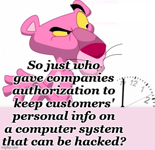 Protect | So just who gave companies authorization to keep customers' personal info on a computer system that can be hacked? | image tagged in pink panther,computer,personal info | made w/ Imgflip meme maker