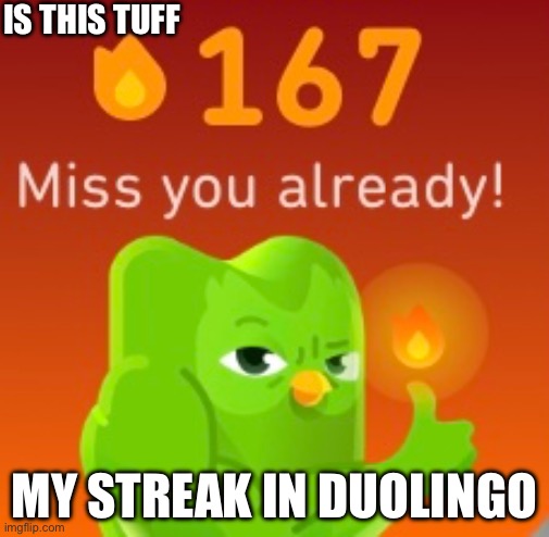 My steak in Duolingo pt.2 | IS THIS TUFF; MY STREAK IN DUOLINGO | image tagged in memes,funny meme | made w/ Imgflip meme maker