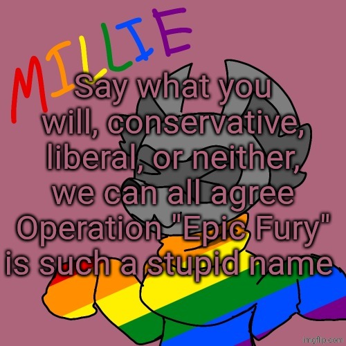 Also, why is Iran bombing everyone besides the two that attacked it :sob: | Say what you will, conservative, liberal, or neither, we can all agree Operation "Epic Fury" is such a stupid name | image tagged in millie's fursona announcement template | made w/ Imgflip meme maker