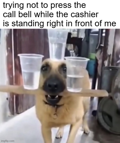 dont do itttt | trying not to press the call bell while the cashier is standing right in front of me | image tagged in funny | made w/ Imgflip meme maker
