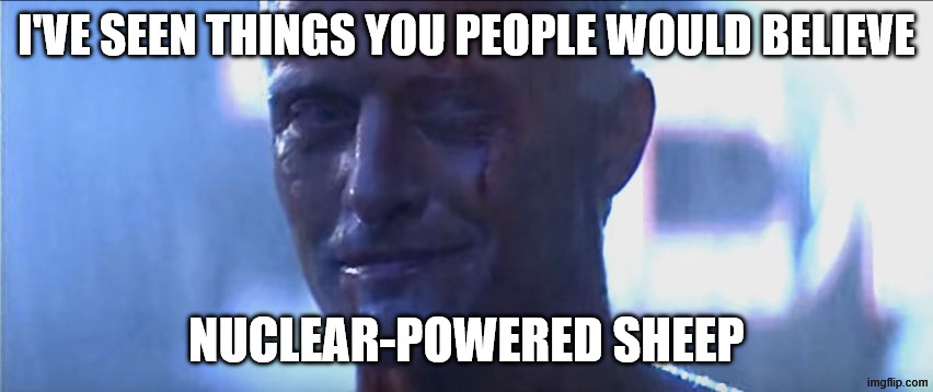 Rutger Hauer I've Seen Things | I'VE SEEN THINGS YOU PEOPLE WOULD BELIEVE NUCLEAR-POWERED SHEEP | image tagged in rutger hauer i've seen things | made w/ Imgflip meme maker