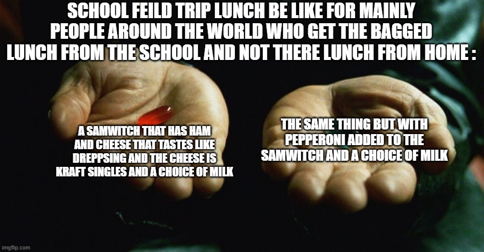 James Goings And Cabline Was Right The Whole Time | SCHOOL FEILD TRIP LUNCH BE LIKE FOR MAINLY PEOPLE AROUND THE WORLD WHO GET THE BAGGED LUNCH FROM THE SCHOOL AND NOT THERE LUNCH FROM HOME :; THE SAME THING BUT WITH PEPPERONI ADDED TO THE SAMWITCH AND A CHOICE OF MILK; A SAMWITCH THAT HAS HAM AND CHEESE THAT TASTES LIKE DREPPSING AND THE CHEESE IS KRAFT SINGLES AND A CHOICE OF MILK | image tagged in red pill blue pill,memes,true,school lunch | made w/ Imgflip meme maker