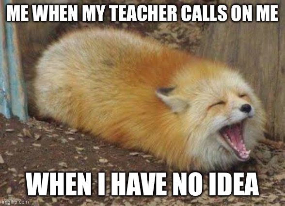 New template | ME WHEN MY TEACHER CALLS ON ME; WHEN I HAVE NO IDEA | image tagged in fox screaming,school sucks | made w/ Imgflip meme maker