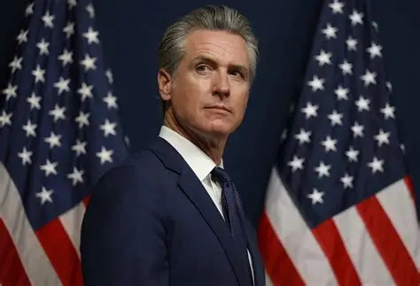 Gavin Newsom Blank Meme Template