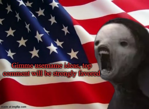 void lazy but patriotic | Gimme username ideas, top comment will be strongly favored | image tagged in void lazy but patriotic | made w/ Imgflip meme maker