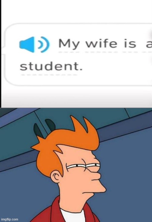 care to explain, Duolingo? | image tagged in memes,futurama fry,fun,no amount of context can save this | made w/ Imgflip meme maker
