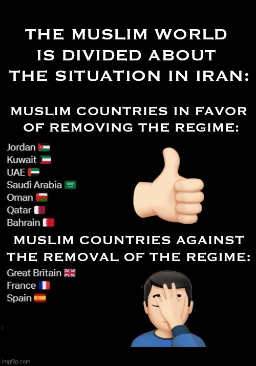 Anyone who supports the Iranian regime is as despicable as they are… | 👍🏻; 🤦🏻‍♂️ | image tagged in political meme,iran,regime,muslim countries,for,against | made w/ Imgflip meme maker