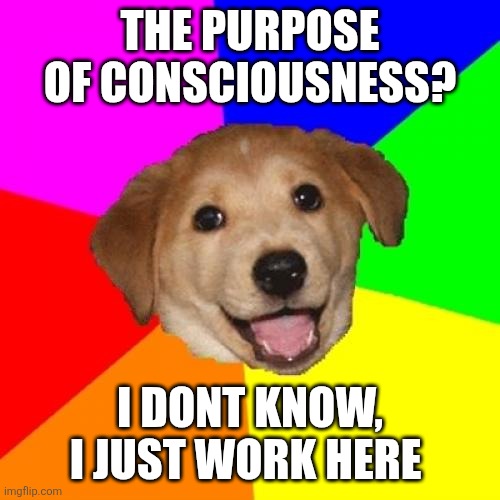 Advice Dog Meme | THE PURPOSE OF CONSCIOUSNESS? I DONT KNOW, I JUST WORK HERE | image tagged in memes,advice dog | made w/ Imgflip meme maker