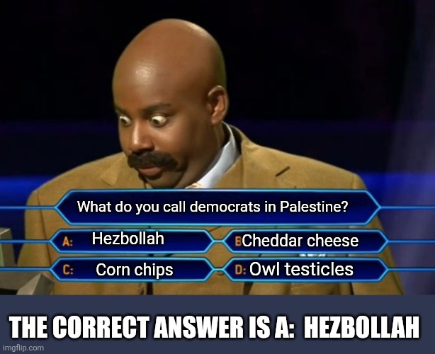 Democrats are Hezbollah America | What do you call democrats in Palestine? Hezbollah; Cheddar cheese; Owl testicles; Corn chips; THE CORRECT ANSWER IS A:  HEZBOLLAH | image tagged in who wants to be a millionaire | made w/ Imgflip meme maker
