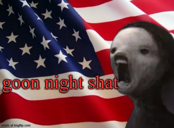 void lazy but patriotic | goon night shat | image tagged in void lazy but patriotic | made w/ Imgflip meme maker