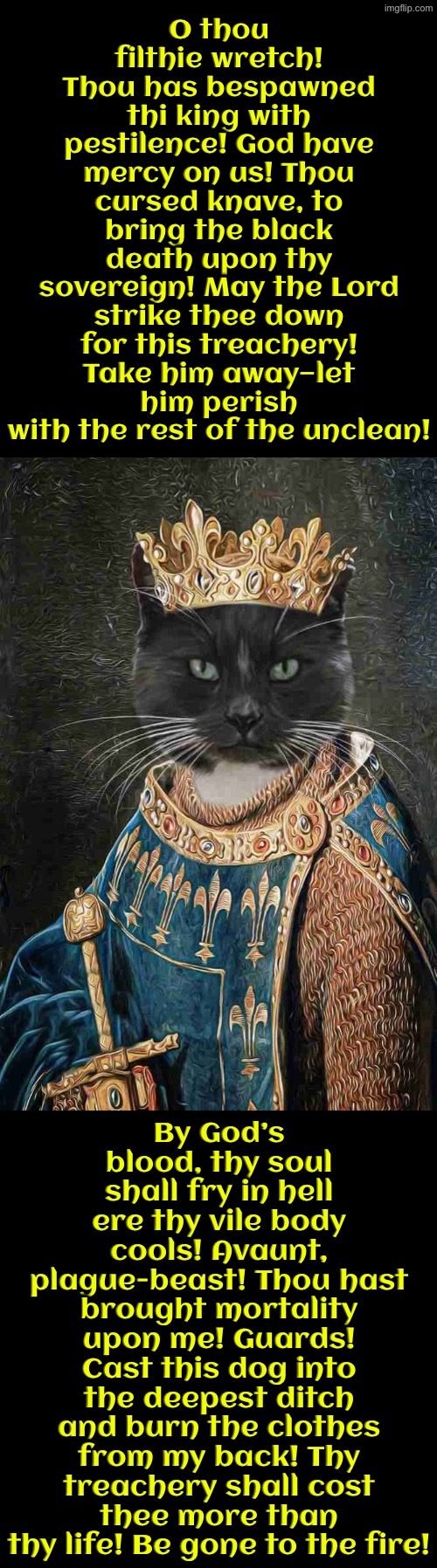 Thou Hast Bespawned Thi King With Pestilence | O thou filthie wretch! Thou has bespawned thi king with pestilence! God have mercy on us! Thou cursed knave, to bring the black death upon thy sovereign! May the Lord strike thee down for this treachery! Take him away—let him perish with the rest of the unclean! By God’s blood, thy soul shall fry in hell ere thy vile body cools! Avaunt, plague-beast! Thou hast brought mortality upon me! Guards! Cast this dog into the deepest ditch and burn the clothes from my back! Thy treachery shall cost thee more than thy life! Be gone to the fire! | image tagged in cats,medieval memes,puke,plague,funny cats,the king | made w/ Imgflip meme maker