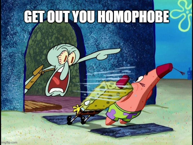 Squidward Screaming | GET OUT YOU HOMOPHOBE | image tagged in squidward screaming | made w/ Imgflip meme maker