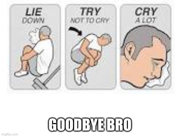 GOODBYE BRO | made w/ Imgflip meme maker