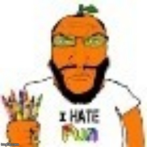 I hate fun | image tagged in i hate fun | made w/ Imgflip meme maker