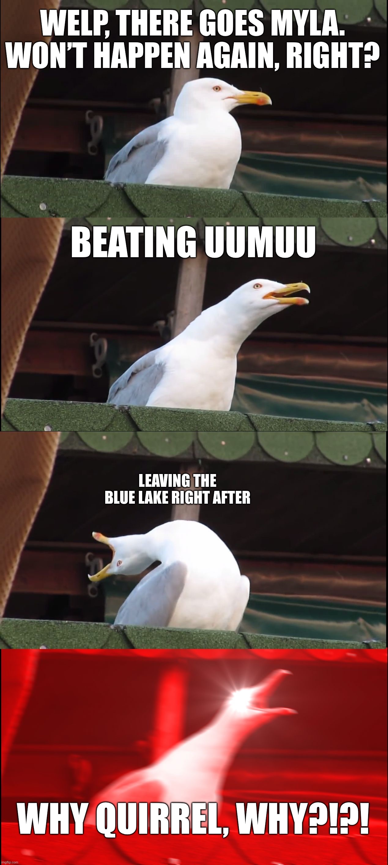 We all feel it. | WELP, THERE GOES MYLA. WON’T HAPPEN AGAIN, RIGHT? BEATING UUMUU; LEAVING THE BLUE LAKE RIGHT AFTER; WHY QUIRREL, WHY?!?! | image tagged in memes,inhaling seagull | made w/ Imgflip meme maker