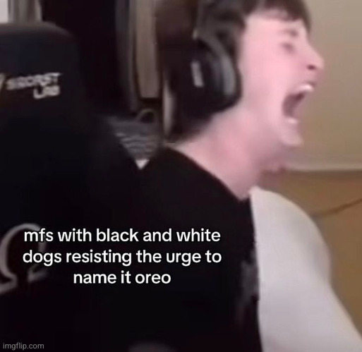 gn youse guys | made w/ Imgflip meme maker