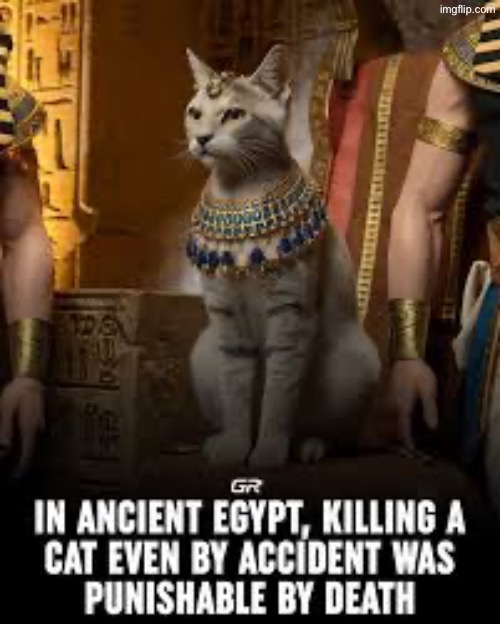 No wonder they’re such smug turds | image tagged in cats,funny cats,gods of egypt,smug,so you have chosen death,death penalty | made w/ Imgflip meme maker