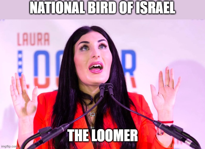 NATIONAL BIRD OF ISRAEL; THE LOOMER | made w/ Imgflip meme maker