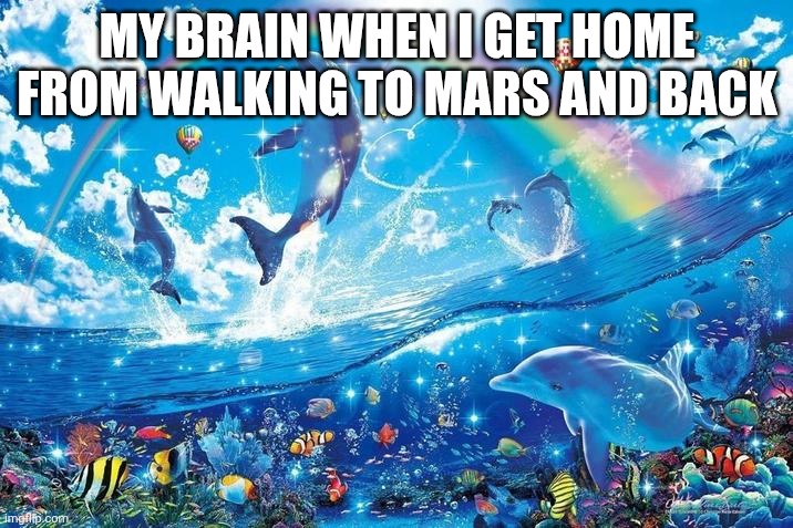 Happy dolphin rainbow | MY BRAIN WHEN I GET HOME FROM WALKING TO MARS AND BACK | image tagged in happy dolphin rainbow | made w/ Imgflip meme maker