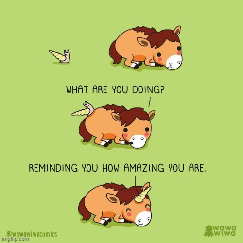 image tagged in horse,snail,reminder,amazing,shell,unicorn | made w/ Imgflip meme maker